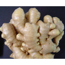 Organic Dry Ginger, Chinese 2015 Fresh Ginger